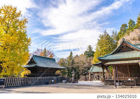 仙台東照宮　拝殿　日光東照宮の権現造ではなく拝殿と本殿を別の建物とした特徴　秋　銀杏 134025010