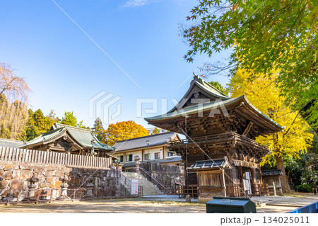 仙台東照宮 随身門 国・重要文化財 祭神は徳川家康公 秋 銀杏 仙台東照宮 随身門 国・重要文化財 祭神は徳川家康公 秋 銀杏 134025011