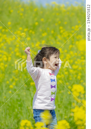 菜の花畑で遊ぶ女の子 134025812