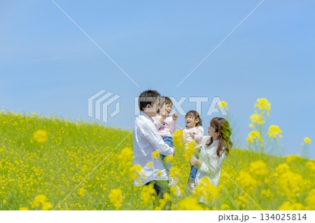 菜の花畑で遊ぶ4人家族 134025814