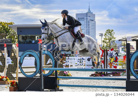 東京都世田谷区 馬事公苑 ジャパン ブリーディング 障害馬術 ホースショー 東京都世田谷区 馬事公苑 ジャパン ブリーディング 障害馬術 ホースショー 134026044