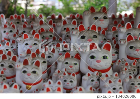 東京都世田谷区豪徳寺の沢山の招き猫 134026086