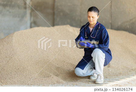 Asian woman farmer with tablet inspect granulated feed in storage Asian woman farmer with tablet inspect granulated feed in storage 134026174