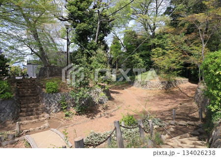 東京都世田谷区豪徳寺の世田谷城跡 東京都世田谷区豪徳寺の世田谷城跡 134026238