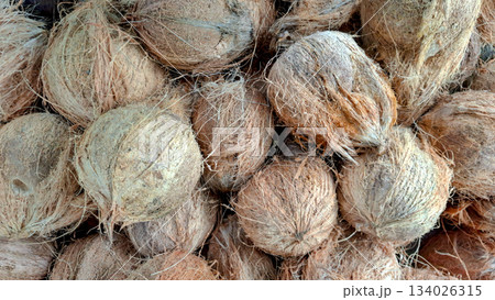 Full Frame Natural Texture of Dry Brown Coconut Husks and Coir Full Frame Natural Texture of Dry Brown Coconut Husks and Coir 134026315