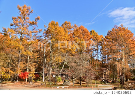 千曲高原別荘地の素晴らしい秋景色 134026692