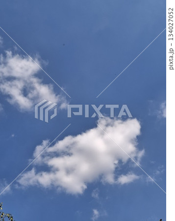Fluffy white cumulus clouds drift across a clear, vibrant blue sky, suggesting a beautiful day 134027052