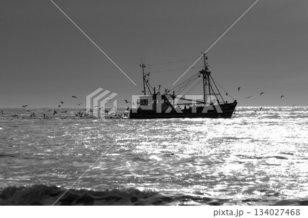 Seascape at the North-Sea where a fishing boat is being chased by seagulls Seascape at the North-Sea where a fishing boat is being chased by seagulls 134027468
