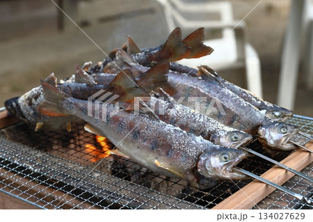 炭火で美味しく焼くアマゴの塩焼き キャンプグルメや川魚のバーベキューアウトドア料理の風景素材 炭火で美味しく焼くアマゴの塩焼き キャンプグルメや川魚のバーベキューアウトドア料理の風景素材 134027629
