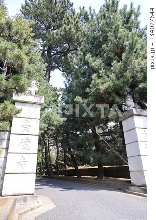 東京都世田谷区豪徳寺の風景 東京都世田谷区豪徳寺の風景 134027644
