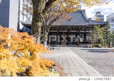 晩秋の本能寺 本堂正面 京都府京都市 晩秋の本能寺 本堂正面 京都府京都市 134027687