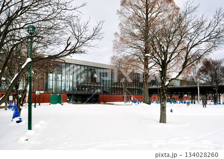 雪が積もる12月の岩見沢駅 雪が積もる12月の岩見沢駅 134028260