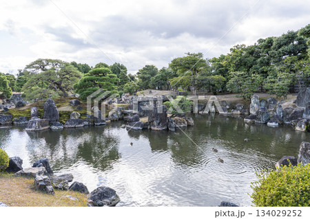 晩秋の二条城　二の丸庭園　京都市中京区 134029252