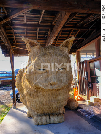 スカイネッコ（縦）2 134029984