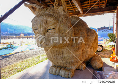 スカイネッコ6 134029986