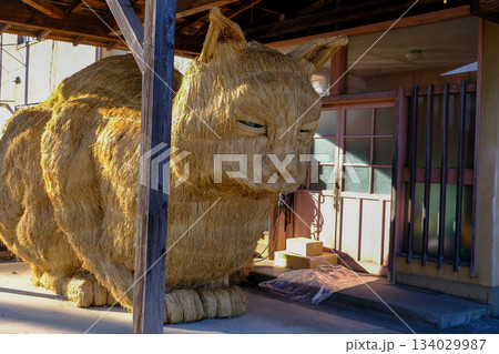 スカイネッコ5 134029987