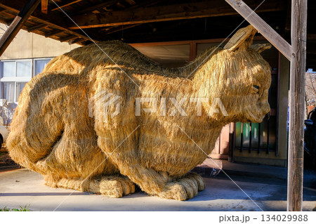 スカイネッコ4 134029988