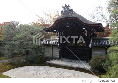 秋はもみじの永観堂　京都禅林寺 134030158