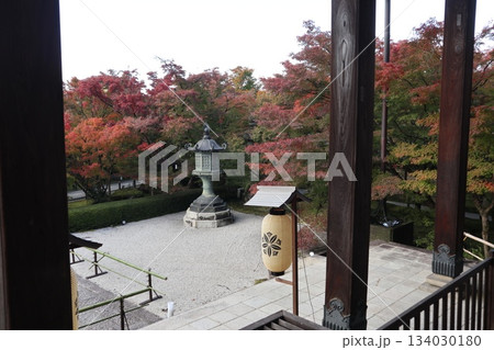 秋はもみじの永観堂 京都禅林寺 秋はもみじの永観堂 京都禅林寺 134030180