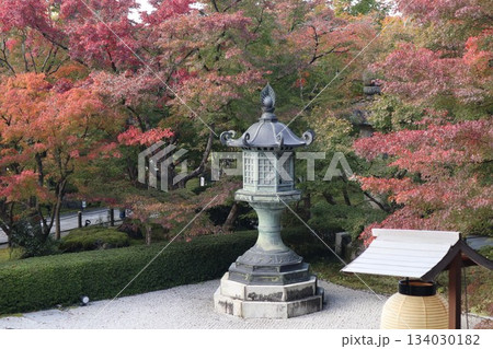 秋はもみじの永観堂 京都禅林寺 秋はもみじの永観堂 京都禅林寺 134030182