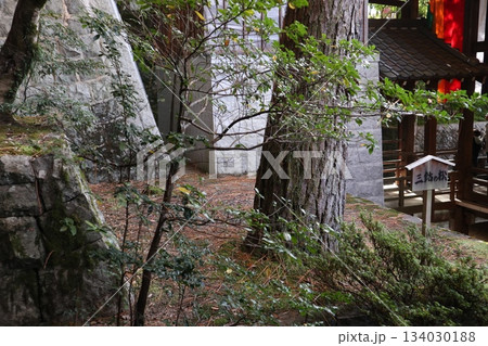 秋はもみじの永観堂 京都禅林寺 秋はもみじの永観堂 京都禅林寺 134030188