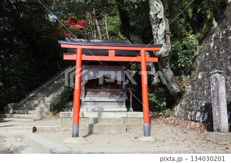 秋はもみじの永観堂　京都禅林寺 134030201