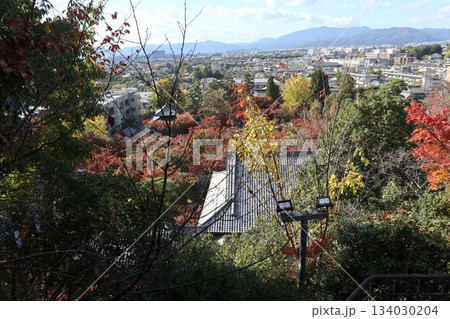 秋はもみじの永観堂 京都禅林寺 秋はもみじの永観堂 京都禅林寺 134030204
