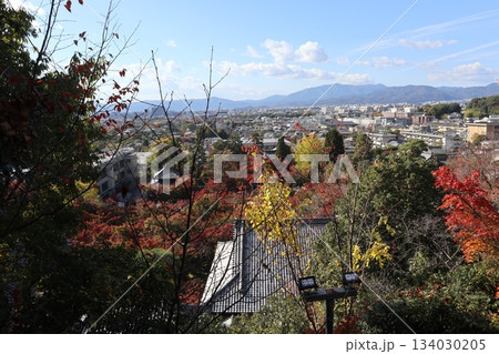 秋はもみじの永観堂 京都禅林寺 秋はもみじの永観堂 京都禅林寺 134030205