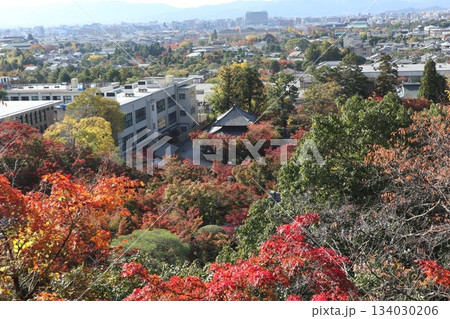 秋はもみじの永観堂 京都禅林寺 秋はもみじの永観堂 京都禅林寺 134030206