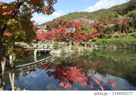 秋はもみじの永観堂 京都禅林寺 秋はもみじの永観堂 京都禅林寺 134030277