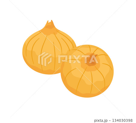 玉ねぎ,フラットイラスト 玉ねぎ,フラットイラスト 134030398