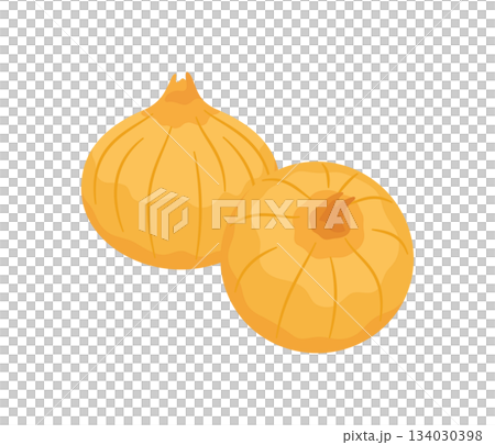玉ねぎ,フラットイラスト 玉ねぎ,フラットイラスト 134030398