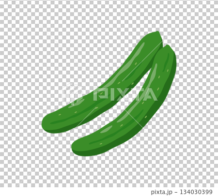 黃瓜，扁平插圖 134030399