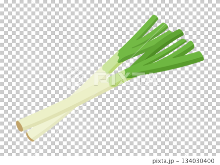 ねぎ,フラットイラスト 134030400