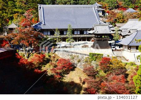 方広寺の本堂と紅葉の秋景色 134031127