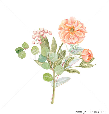 Peony with eucalyptus bouquet in soft peach tones watercolor illustration isolated on white. Hand-painted with high detail, perfect for wedding invitations, branding, packaging, fabric design cards Peony with eucalyptus bouquet in soft peach tones watercolor illustration isolated on white. Hand-painted with high detail, perfect for wedding invitations, branding, packaging, fabric design cards 134031168