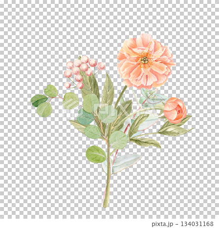 Peony with eucalyptus bouquet in soft peach tones watercolor illustration isolated on white. Hand-painted with high detail, perfect for wedding invitations, branding, packaging, fabric design cards Peony with eucalyptus bouquet in soft peach tones watercolor illustration isolated on white. Hand-painted with high detail, perfect for wedding invitations, branding, packaging, fabric design cards 134031168