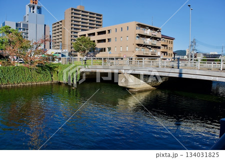 松江市内の秋　天神川の河岸　 134031825