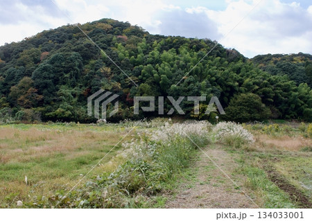 山陰の秋　島根の農村風景 134033001