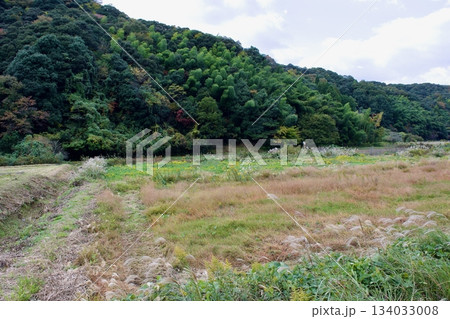 山陰の秋 島根の農村風景 山陰の秋 島根の農村風景 134033008