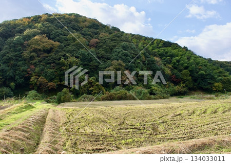 山陰の秋　島根の農村風景 134033011