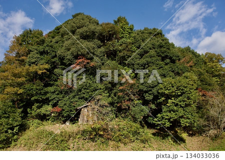 山陰の秋 島根の農村風景 山陰の秋 島根の農村風景 134033036