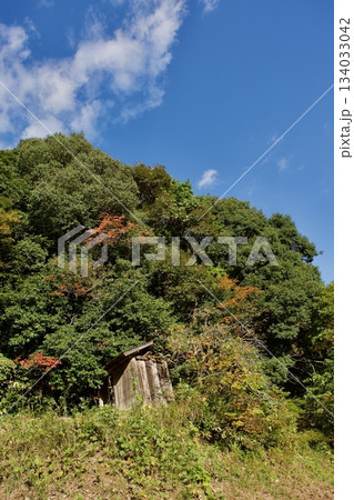山陰の秋 島根の農村風景 山陰の秋 島根の農村風景 134033042