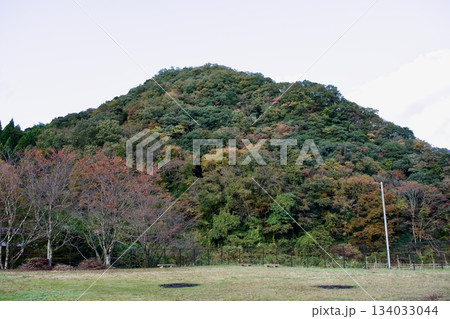 山陰の秋 島根の農村風景 山陰の秋 島根の農村風景 134033044