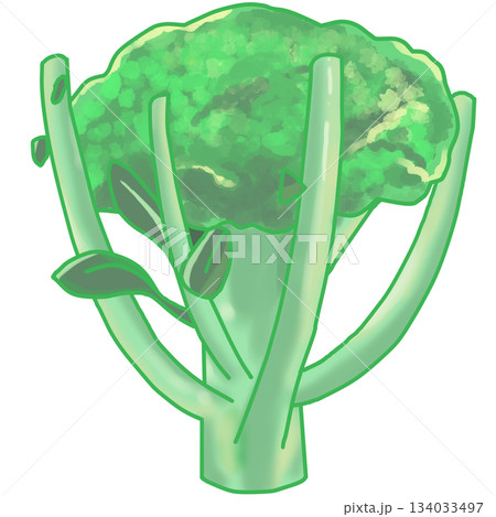 茎付きブロッコリー横 茎付きブロッコリー横 134033497