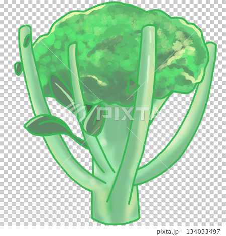 茎付きブロッコリー横 茎付きブロッコリー横 134033497