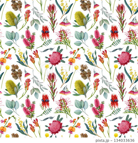 Australia native flowers seamless pattern. Hand drawn Australian flora botanical elements on white background. Waratah, golden wattle, grevillea, banksia, gum tree leaves watercolor illustration 134033636