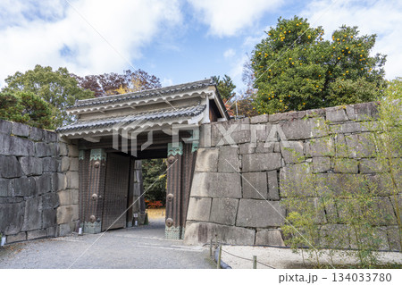 晩秋の二条城　北中仕切門と橙の果実　京都市中京区 134033780