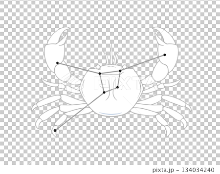Monochrome line drawing illustration of Cancer 134034240