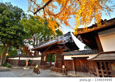 (愛知県)名古屋市 イチョウの黄葉に染まる秋の徳川園黒門 (愛知県)名古屋市 イチョウの黄葉に染まる秋の徳川園黒門 134034940